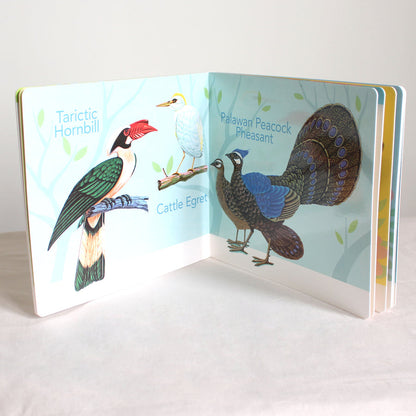 A First Look at Philippine BIRDS, BUTTERFLIES, & FISHES (Board Book Edition)