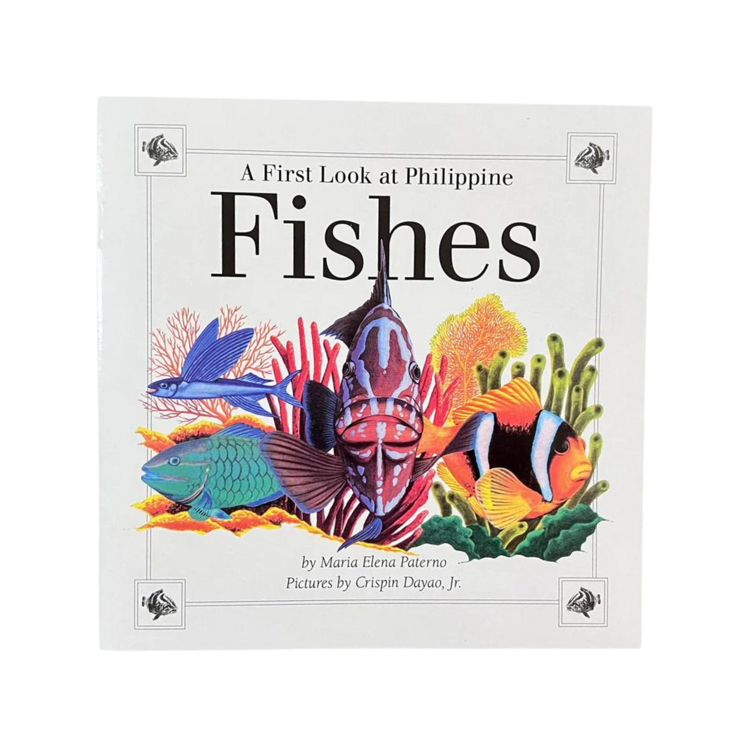 A First Look at Philippine Fishes